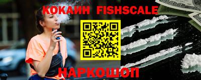 гашик Кулебаки