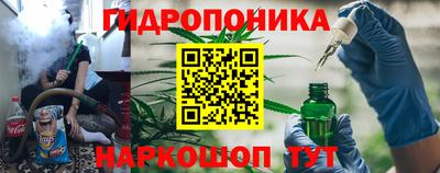 гашик Кулебаки