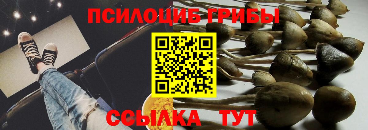 Галлюциногенные грибы мухоморы Ессентуки